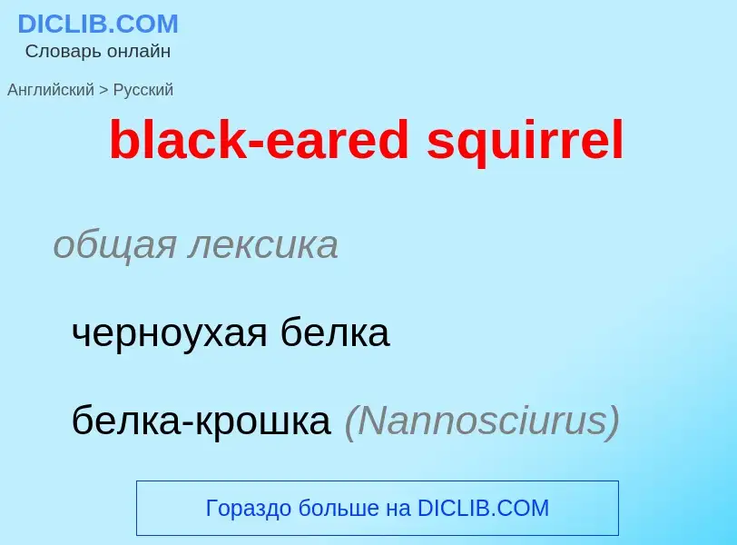 Vertaling van &#39black-eared squirrel&#39 naar Russisch