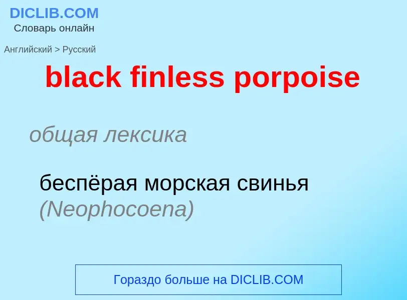 Как переводится black finless porpoise на Русский язык