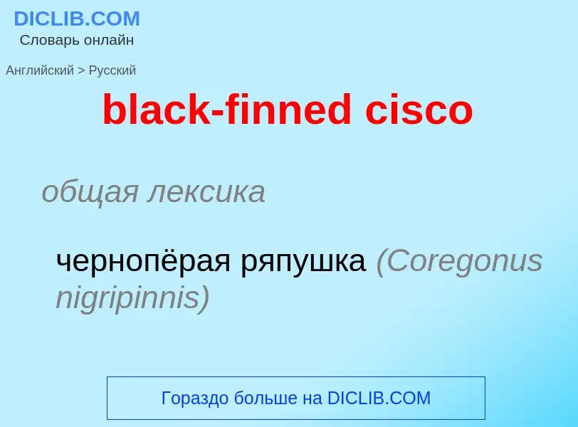 ¿Cómo se dice black-finned cisco en Ruso? Traducción de &#39black-finned cisco&#39 al Ruso