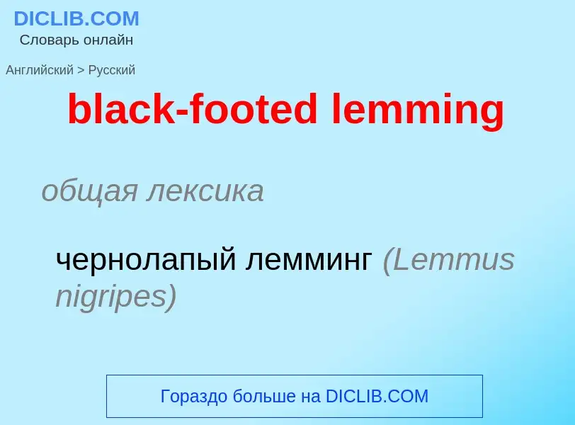 Traduzione di &#39black-footed lemming&#39 in Russo