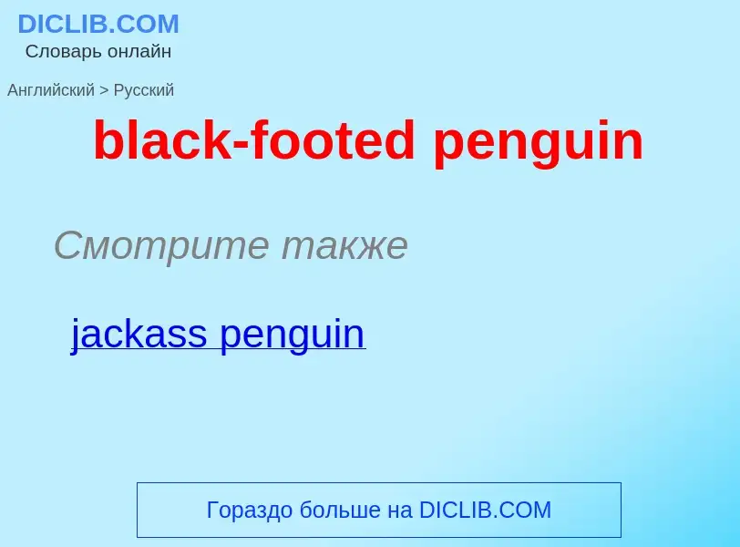 Как переводится black-footed penguin на Русский язык