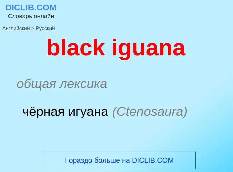 Как переводится black iguana на Русский язык