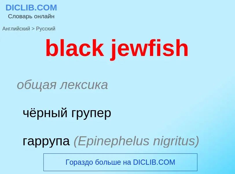 ¿Cómo se dice black jewfish en Ruso? Traducción de &#39black jewfish&#39 al Ruso