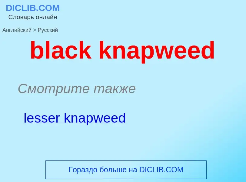 Как переводится black knapweed на Русский язык