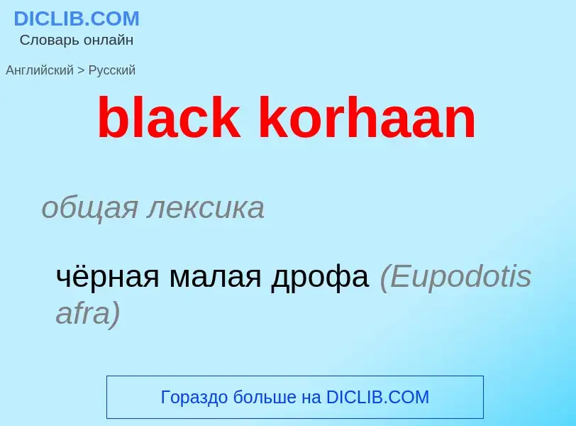 What is the الروسية for black korhaan? Translation of &#39black korhaan&#39 to الروسية