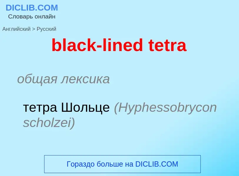 Как переводится black-lined tetra на Русский язык