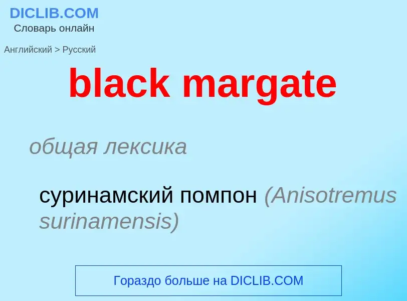 What is the Russian for black margate? Translation of &#39black margate&#39 to Russian