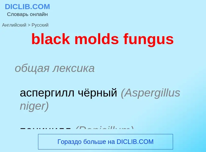 Μετάφραση του &#39black molds fungus&#39 σε Ρωσικά