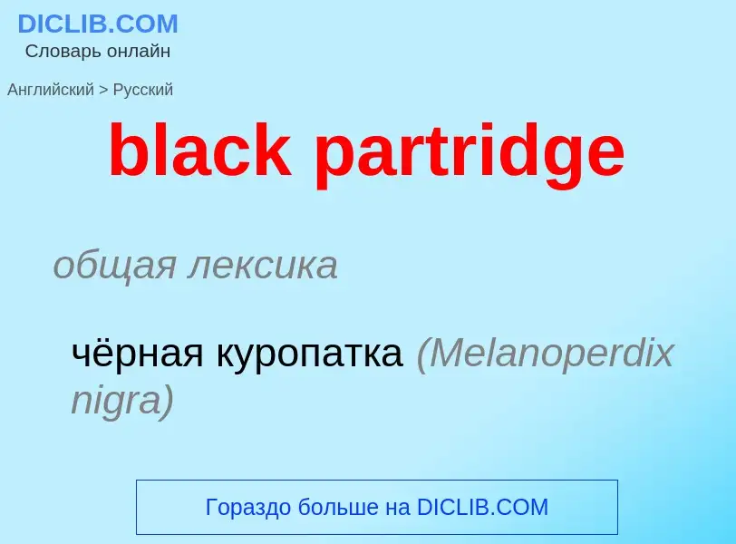 ¿Cómo se dice black partridge en Ruso? Traducción de &#39black partridge&#39 al Ruso