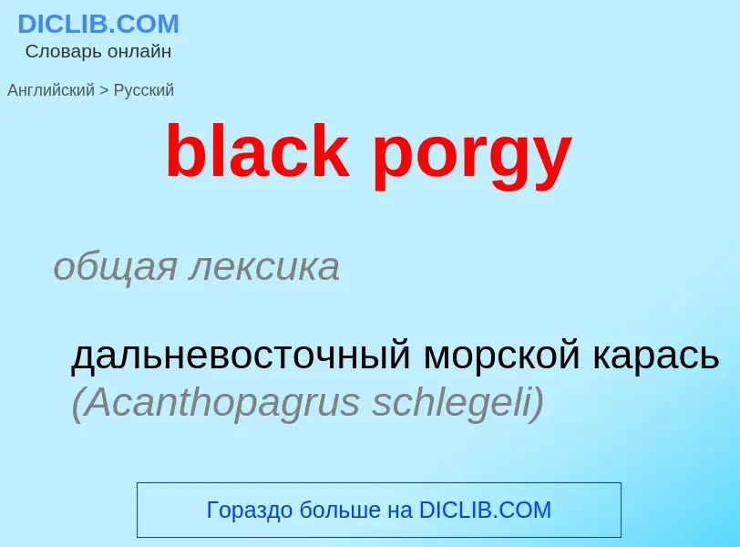 Как переводится black porgy на Русский язык