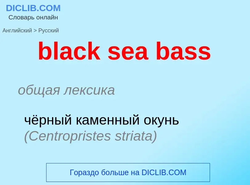 Как переводится black sea bass на Русский язык