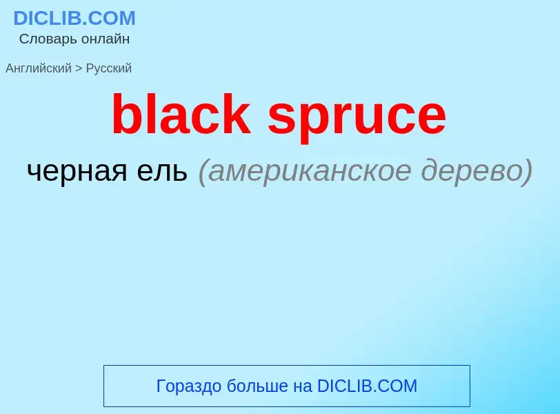 Как переводится black spruce на Русский язык