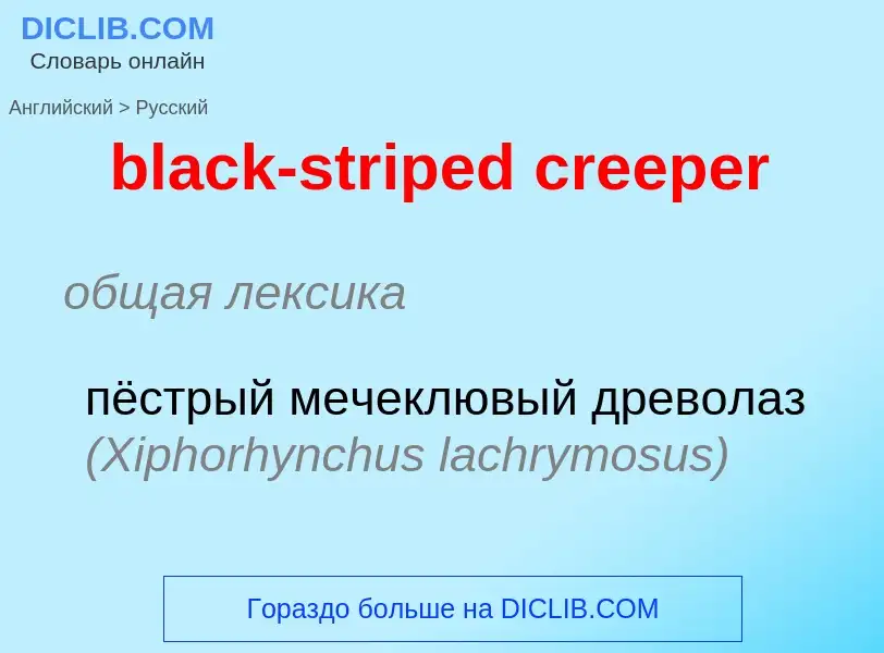 Traduction de &#39black-striped creeper&#39 en Russe