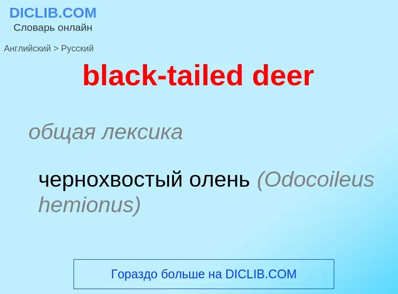 Μετάφραση του &#39black-tailed deer&#39 σε Ρωσικά