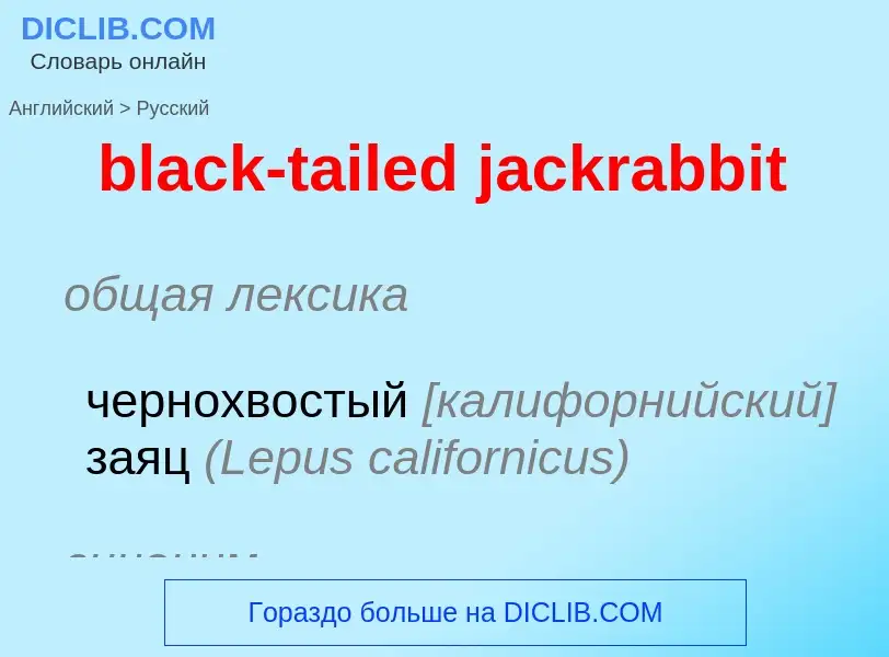 ¿Cómo se dice black-tailed jackrabbit en Ruso? Traducción de &#39black-tailed jackrabbit&#39 al Ruso