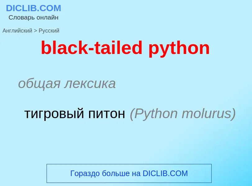 What is the Russian for black-tailed python? Translation of &#39black-tailed python&#39 to Russian