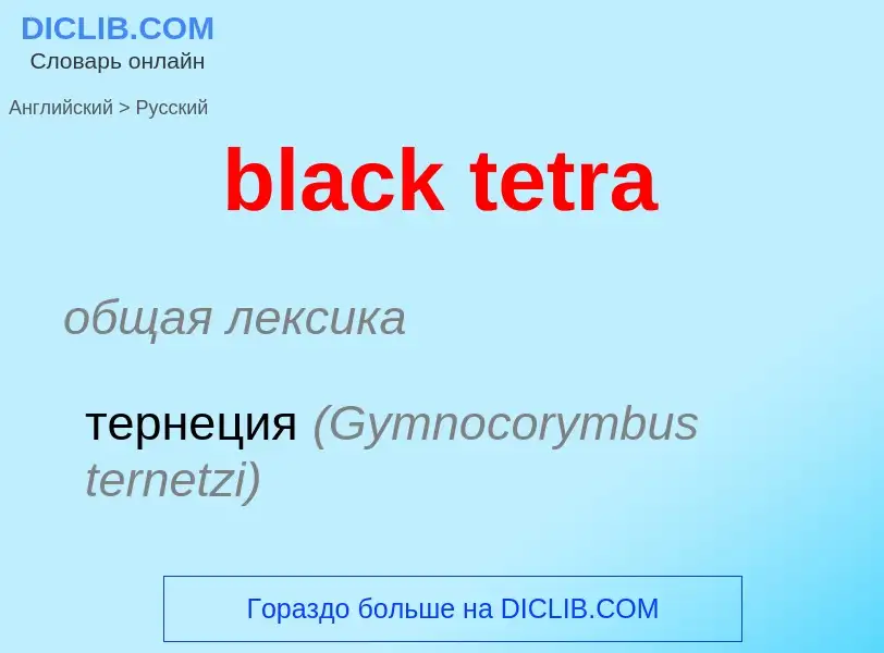 Как переводится black tetra на Русский язык