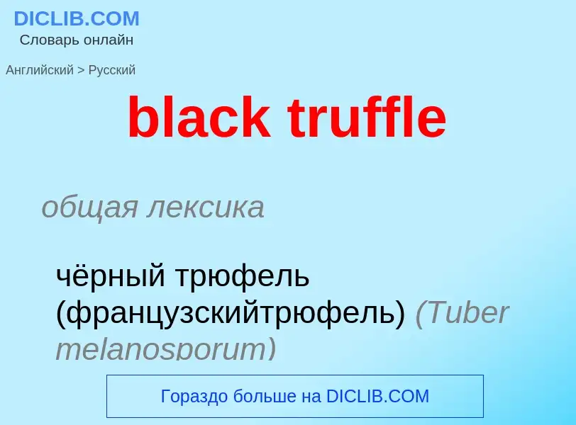 Как переводится black truffle на Русский язык