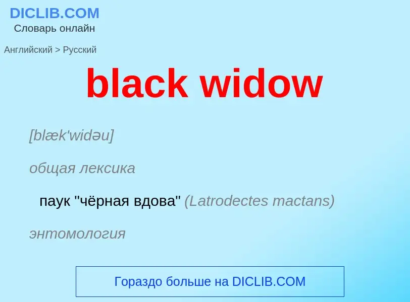 Μετάφραση του &#39black widow&#39 σε Ρωσικά