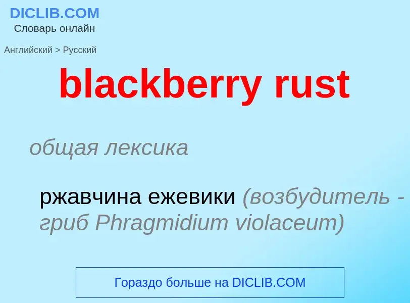 Как переводится blackberry rust на Русский язык