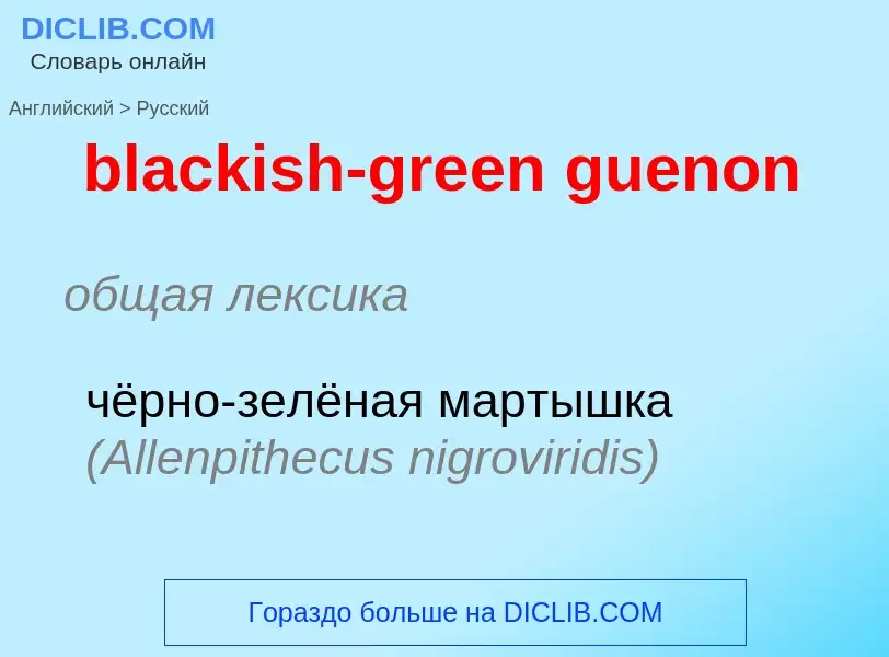 Vertaling van &#39blackish-green guenon&#39 naar Russisch