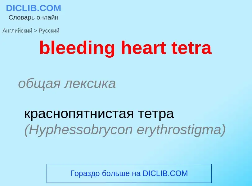 Как переводится bleeding heart tetra на Русский язык