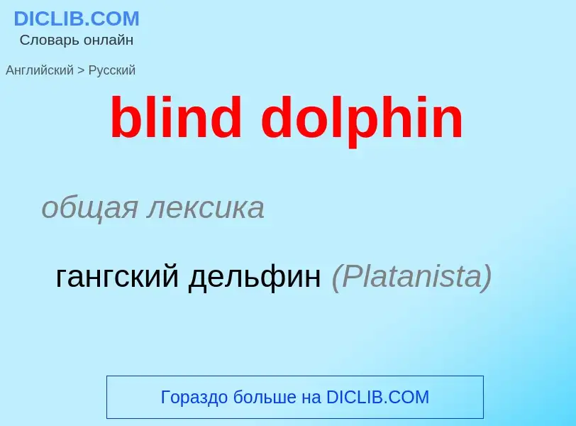 Μετάφραση του &#39blind dolphin&#39 σε Ρωσικά