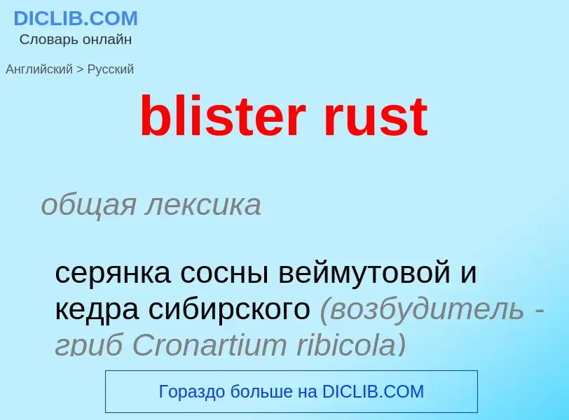 Как переводится blister rust на Русский язык