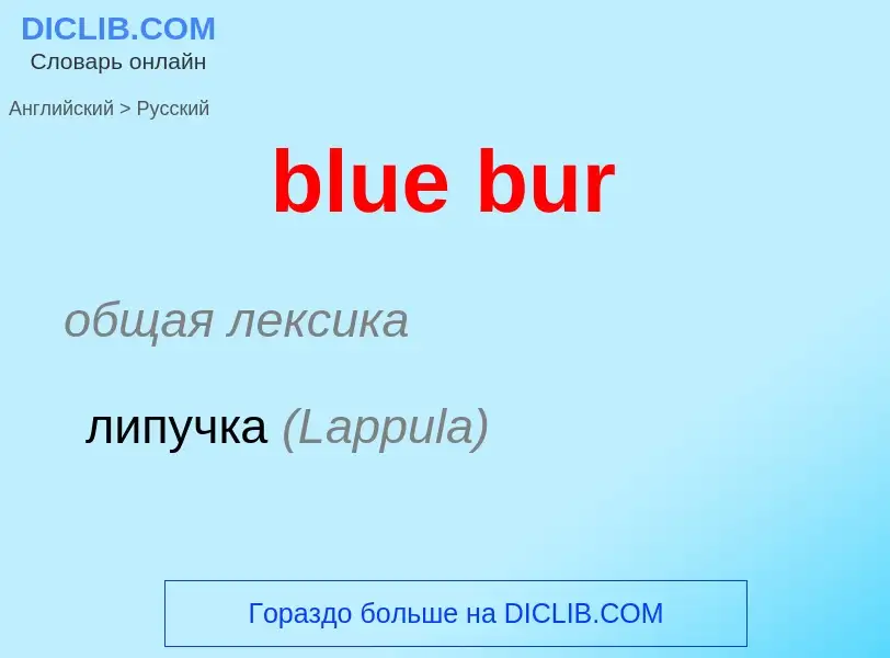 Как переводится blue bur на Русский язык