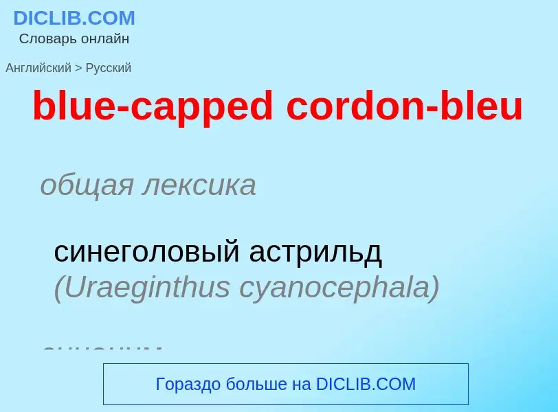 Как переводится blue-capped cordon-bleu на Русский язык