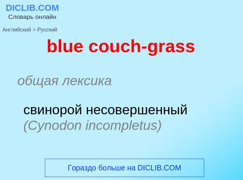 Übersetzung von &#39blue couch-grass&#39 in Russisch