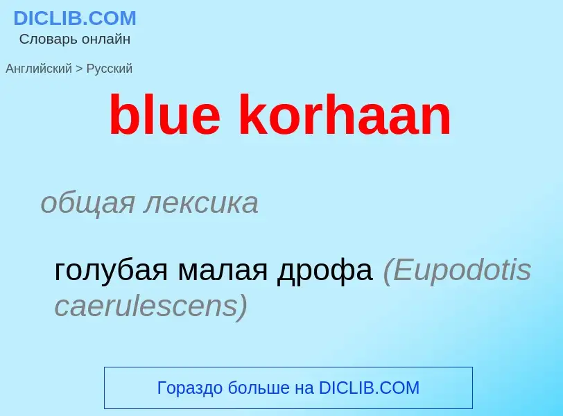 What is the Russian for blue korhaan? Translation of &#39blue korhaan&#39 to Russian