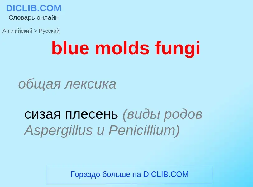 Μετάφραση του &#39blue molds fungi&#39 σε Ρωσικά