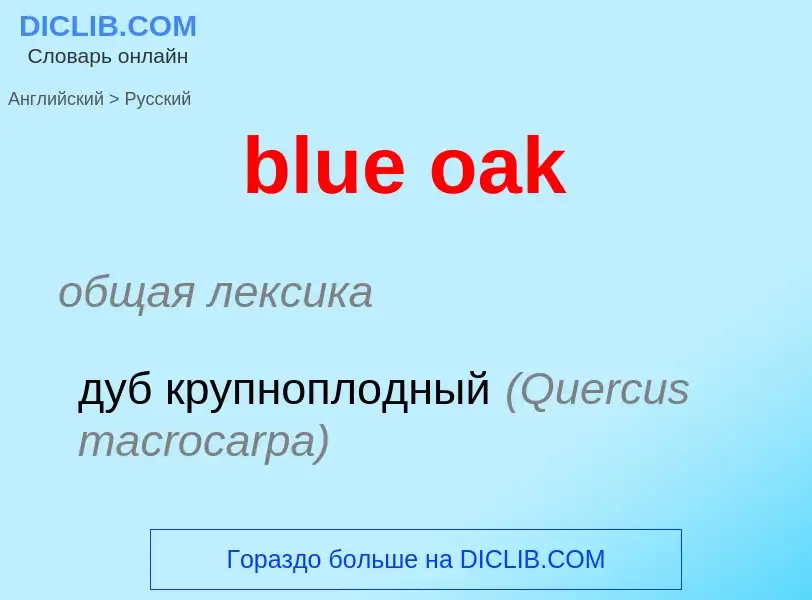 Как переводится blue oak на Русский язык