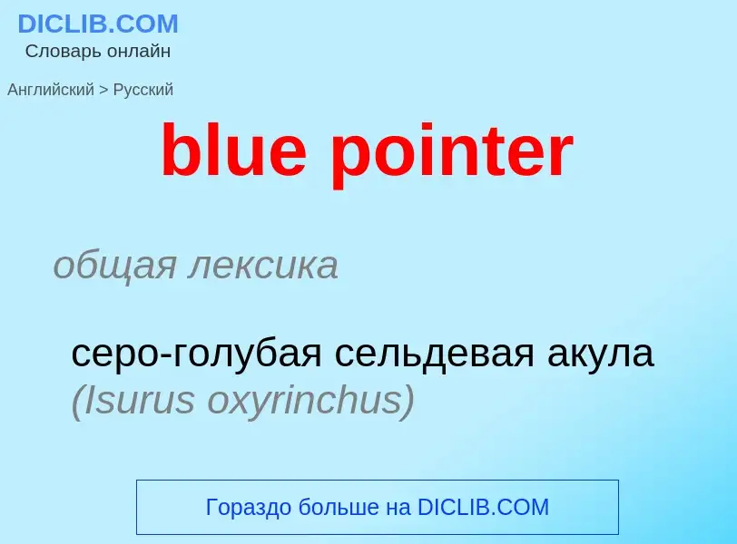 What is the Russian for blue pointer? Translation of &#39blue pointer&#39 to Russian