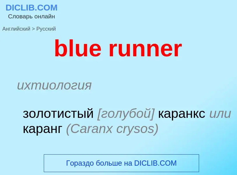 Как переводится blue runner на Русский язык