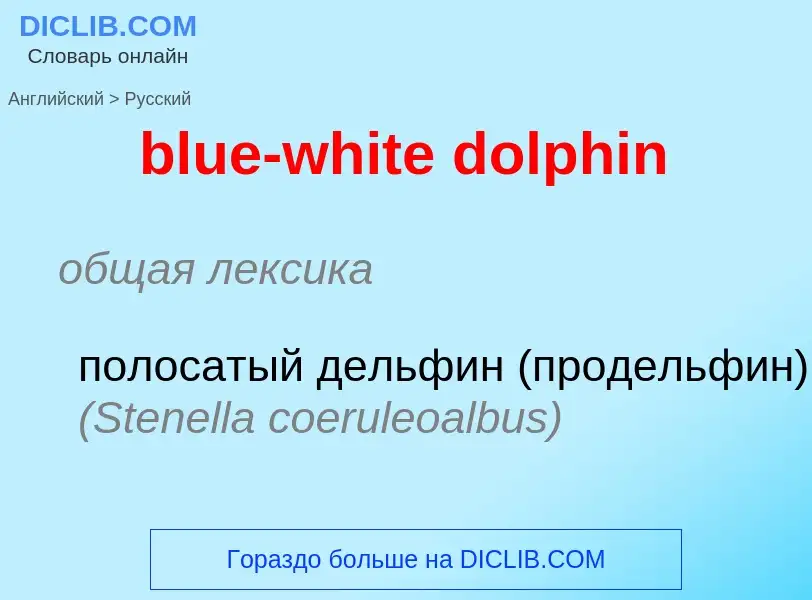 Как переводится blue-white dolphin на Русский язык