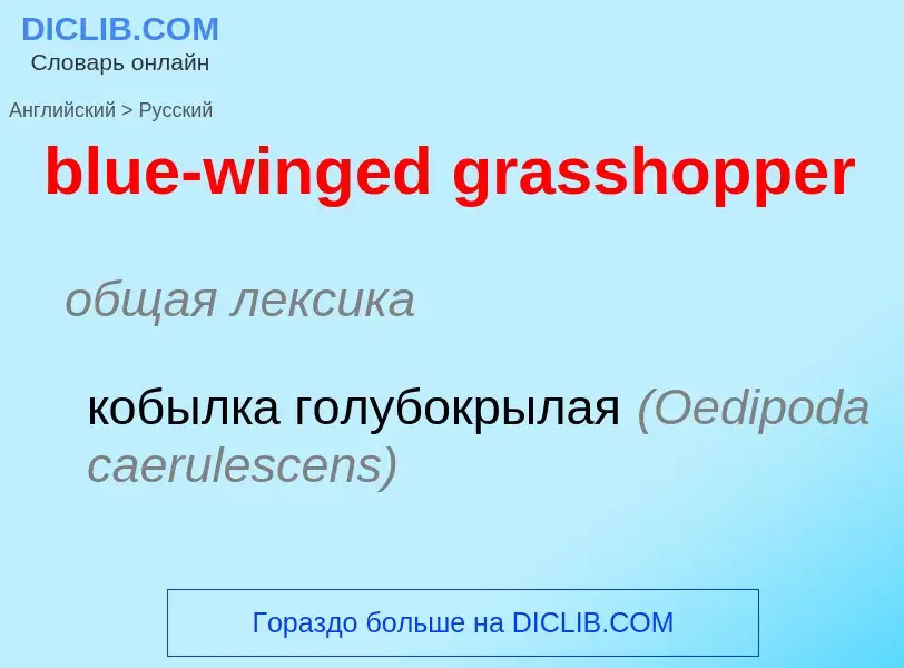 Как переводится blue-winged grasshopper на Русский язык