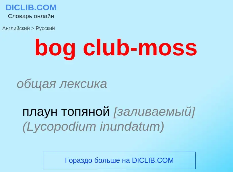 Как переводится bog club-moss на Русский язык