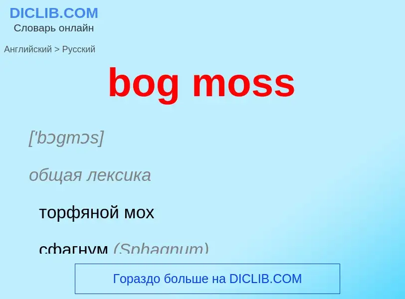 Como se diz bog moss em Russo? Tradução de &#39bog moss&#39 em Russo