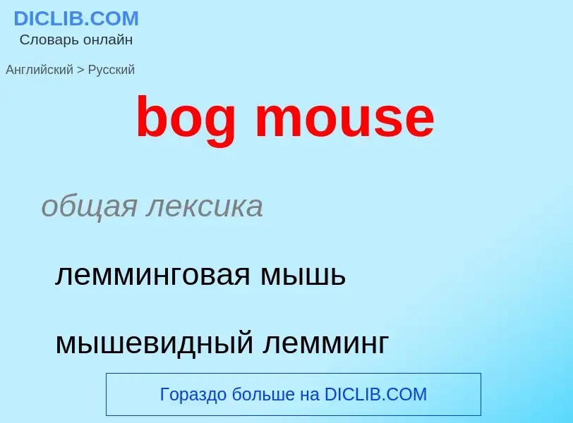 ¿Cómo se dice bog mouse en Ruso? Traducción de &#39bog mouse&#39 al Ruso