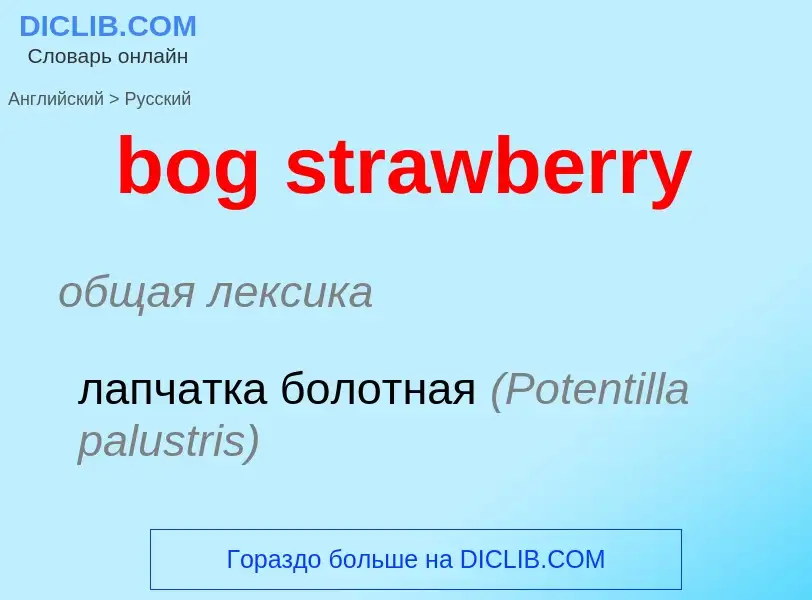 What is the Russian for bog strawberry? Translation of &#39bog strawberry&#39 to Russian