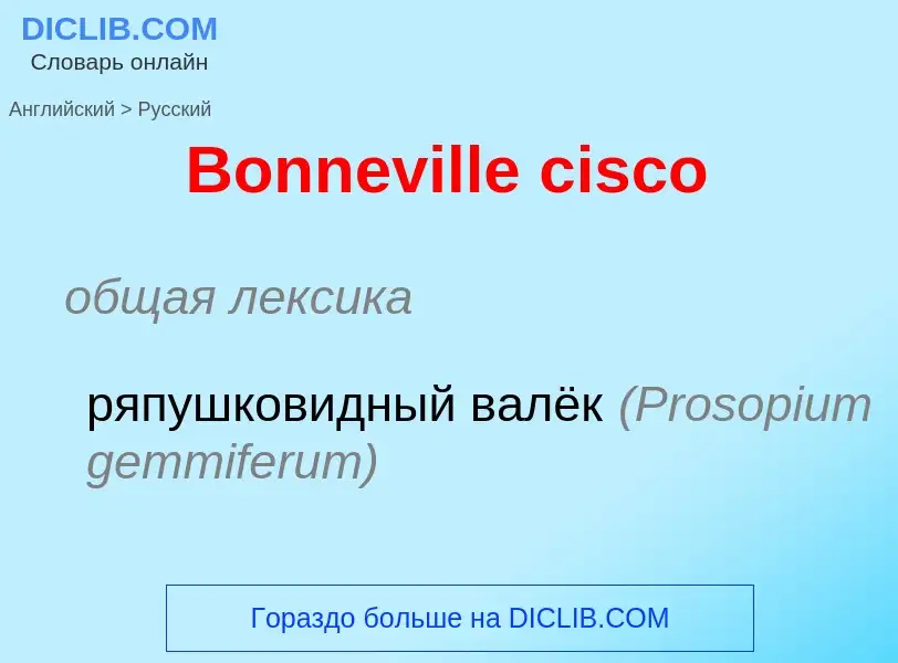 ¿Cómo se dice Bonneville cisco en Ruso? Traducción de &#39Bonneville cisco&#39 al Ruso