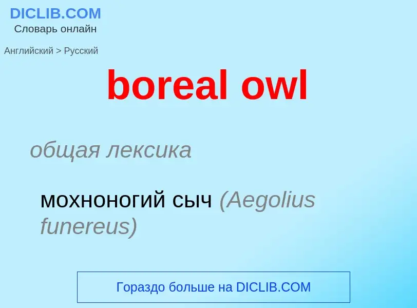 What is the الروسية for boreal owl? Translation of &#39boreal owl&#39 to الروسية