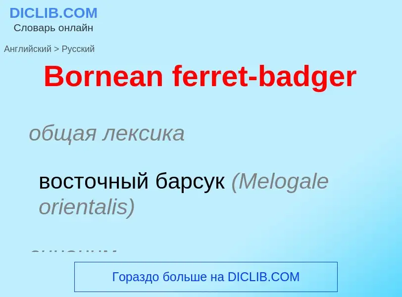 Μετάφραση του &#39Bornean ferret-badger&#39 σε Ρωσικά