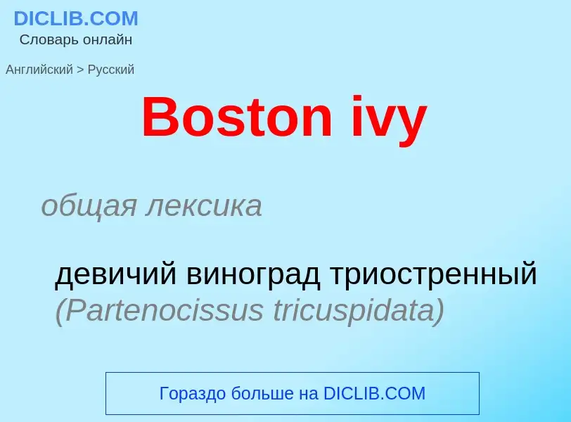 Vertaling van &#39Boston ivy&#39 naar Russisch