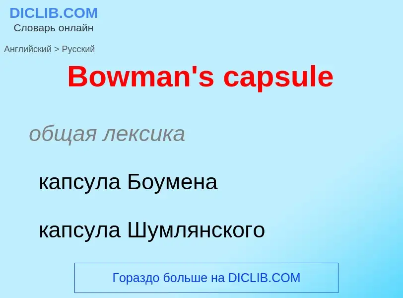 ¿Cómo se dice Bowman's capsule en Ruso? Traducción de &#39Bowman's capsule&#39 al Ruso