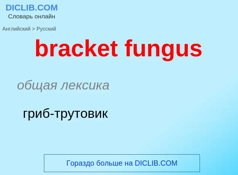 Μετάφραση του &#39bracket fungus&#39 σε Ρωσικά