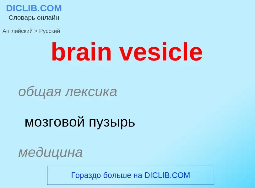 ¿Cómo se dice brain vesicle en Ruso? Traducción de &#39brain vesicle&#39 al Ruso