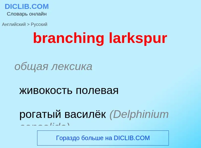 Vertaling van &#39branching larkspur&#39 naar Russisch